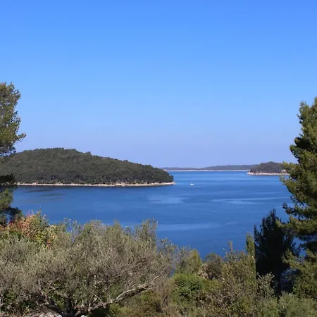 Marinka Διαμέρισμα Vela Luka